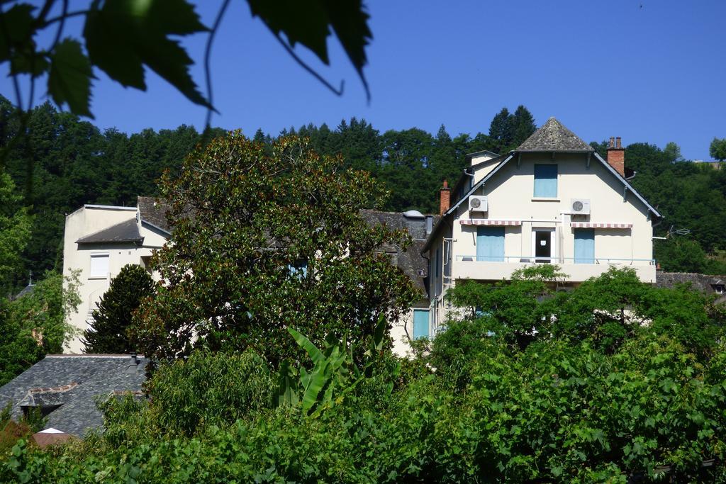 Hotel Du Lion D'Or Entraygues-sur-Truyère Exterior foto